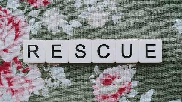 cours de premiers secours pour entreprise