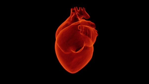 le malaise cardiaque urgence