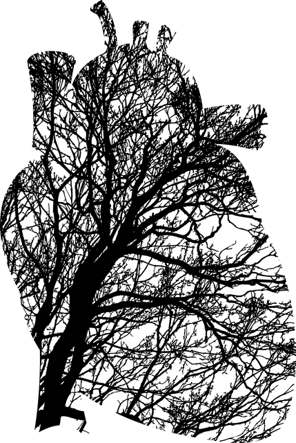 embolie pulmonaire signes symptômes