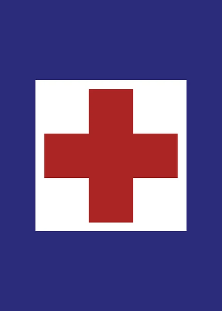cours samaritains premiers secours pour permis de conduire en toute sécurité avec notre cours de premiers secours pour le permis de conduire