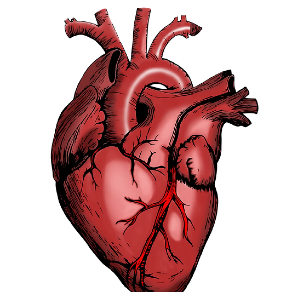 samaritains premiers secours entreprise BLS AED reconnu par le Swiss Resuscitation Council