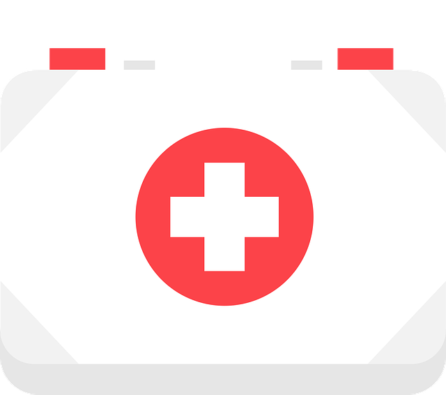 inscription cours samaritains Le Fays pour permis conduire