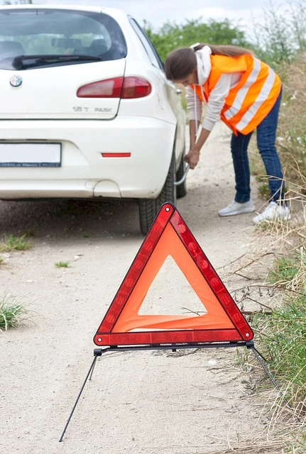 inscription cours samaritains à Fully pour permis conduire