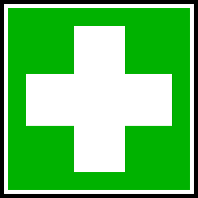 inscription cours samaritains à Bagnes pour permis conduire, 079-535-13-71 tous les we - cours assurés par professionnel de santé