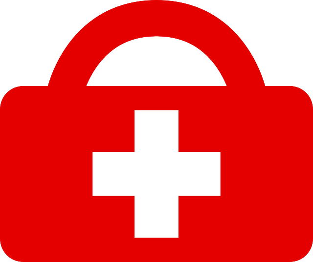 inscription cours samaritains à Le Châble pour permis conduire, 079-535-13-71 tous les we - cours assurés par professionnel de santé