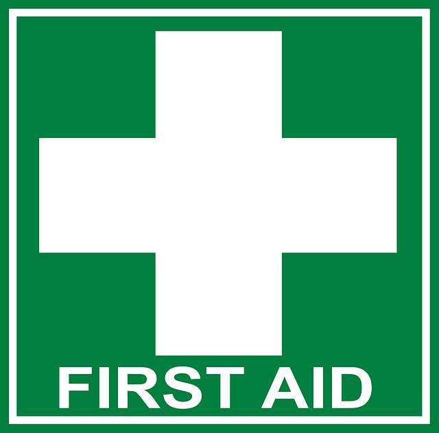 cours samaritains premiers secours 079-535-13-71 tous les we - cours assurés par professionnels de la santé