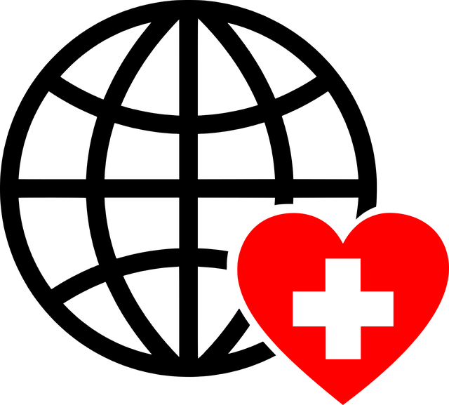 samaritains/1er secours inscription en ligne ou 079-535-13-71 tous les we - cours assurés par professionnel de santé