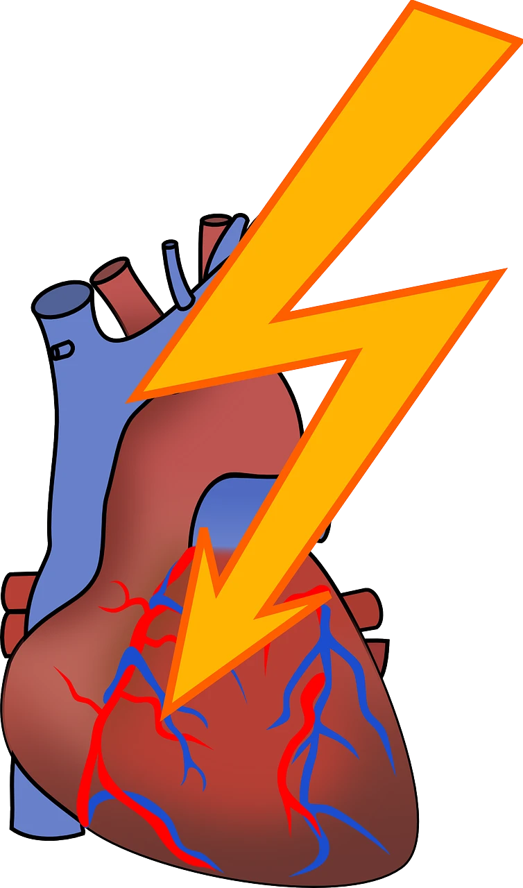 BLS AED Prez 079 535 13 71 4 heures , pharmaciens FPH, ASCA, first responders, garde bain, particuliers www.ecoledesecours.ch