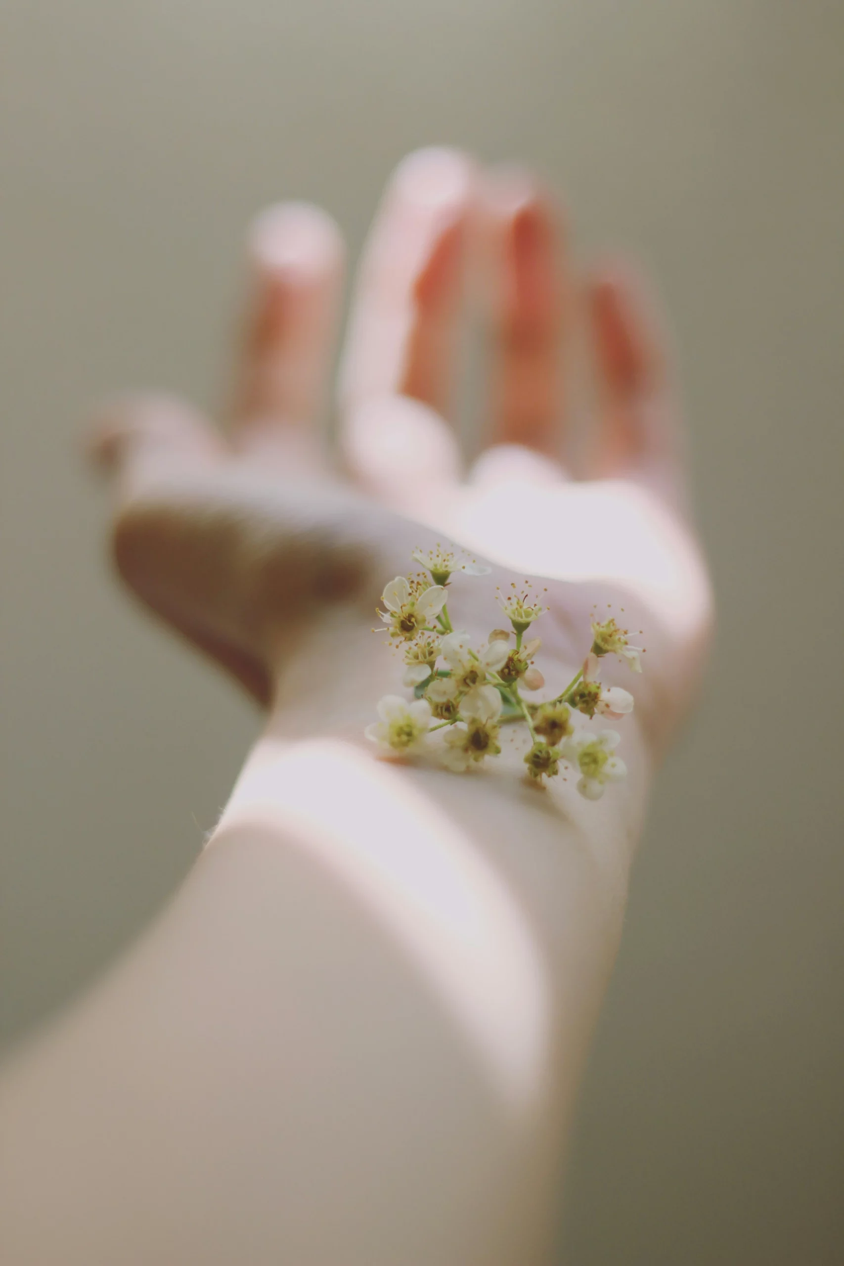 Les Allergies du Printemps, les causes et les conseils pour gérer les allergies du printemps www.ecoledesecours.ch ou 079-535-13-71