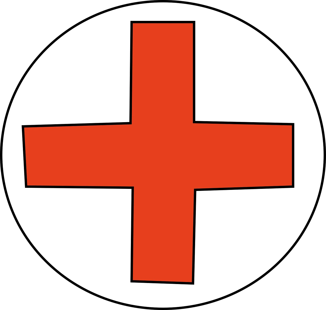 BLS AED Châbles 079-535-13-714 heures , pharmaciens FPH, ASCA, first responders, garde bain, particuliers....