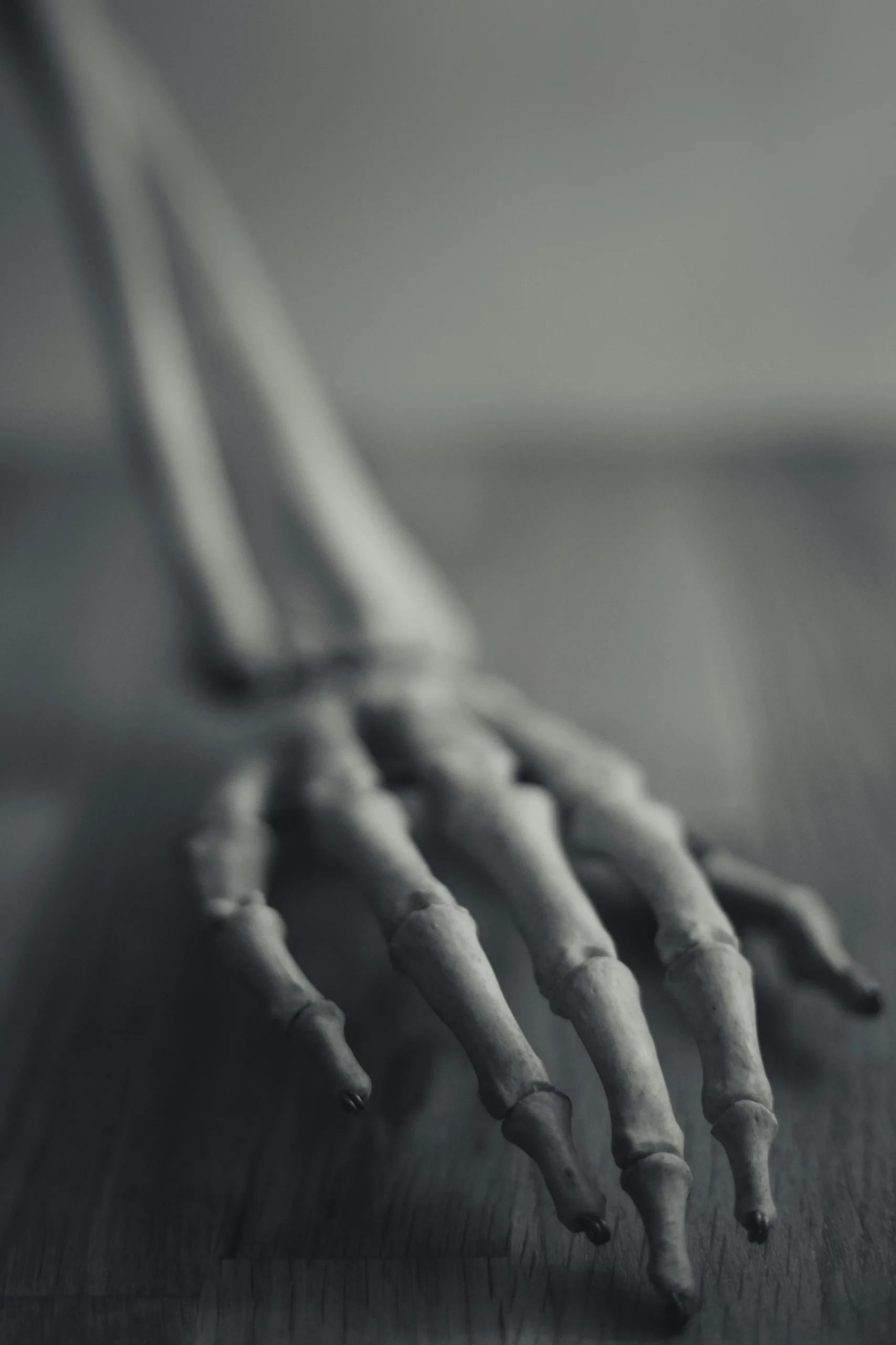 La fracture ouverte URGENCE Découvrez les causes, symptômes, traitement, cours 1er secours tous les WE ecoledesecours.ch 079-535-13-71