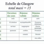 Comprendre échelle de Glasgow, outil médical pour évaluer l’état de conscience d’une personne www.ecoledesecours.ch ou 079-535-13-71