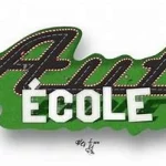 Auto école samaritains Châtel-Saint -Denis , samaritains et sensibilisation pour permis de conduire www.ecoledesecours.ch 079-535-13-71