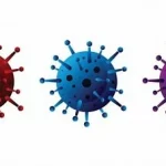 Différence entre virus et bactérie, deux types d’organismes très différents. Comprendre ces distinctions . www.ecoledesecours.ch 079-535-13-71
