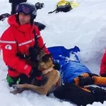 Cours samaritains Secouristes Diablerets les Week end par des professionnels de la santé 079-535-13-71 www.ecoledesecours.ch