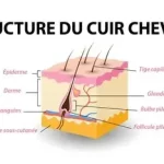 Cuir chevelu arraché que faire ? également appelé avulsion du cuir chevelu 079-535-13-71 www.ecoledesecours.ch