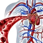 Comprendre L’état de choc, une réaction grave de l’organisme face à une agression importante . www.ecoledesecours.ch 079-535-13-71