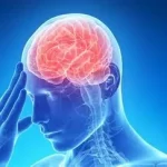 Mieux comprendre l'hypoxie cérébrale qui survient lorsque le cerveau ne reçoit pas suffisamment d’oxygène .ecoledesecours.ch 079-535-13-71